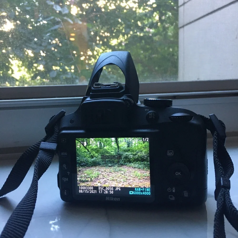 Nikkon D3300